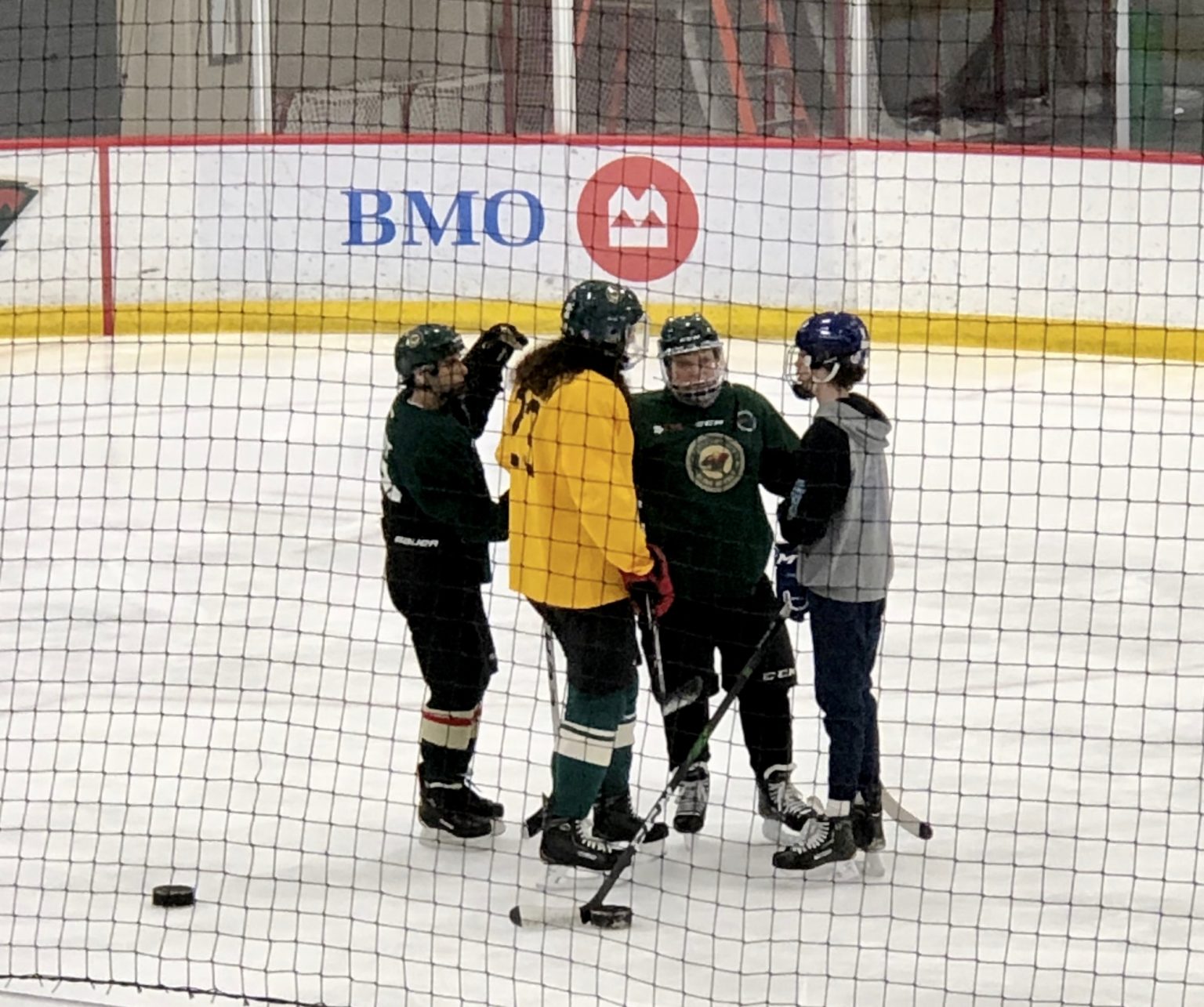 Minnesota Wild Blind Hockey is Here! Providing Children and Adults with